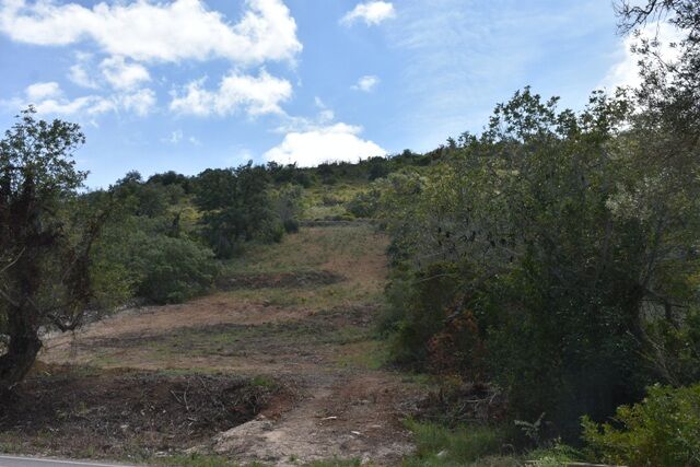 2 440 m²  Land plot in Albufeira