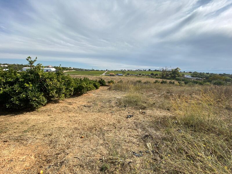 Lote de Terreno com 102 500 m²  com 8 quartos em Olhão