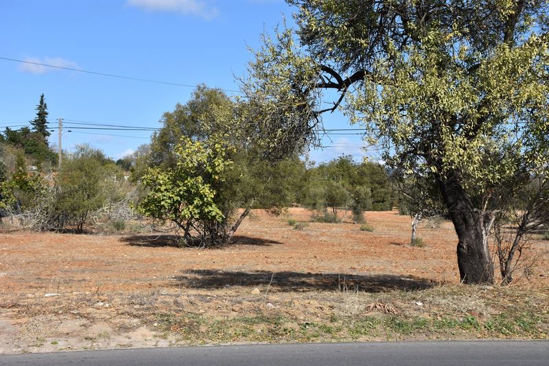 6 280 m²  Land plot in Olhão