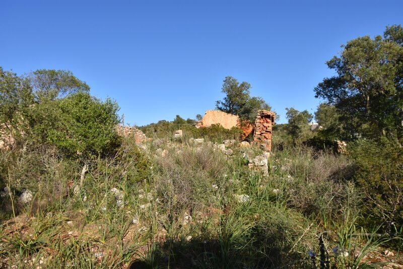 Ruine 2 bedrooms Amendoais Silves