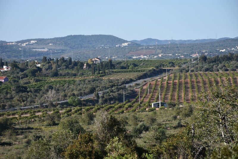 2-bedroom-180m2-House-for-sale-in-Silves-Algarve