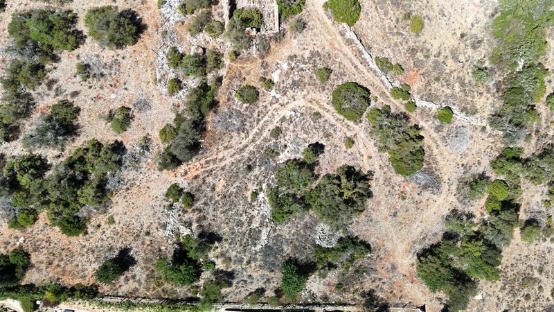 2 bedroom8 320 m²  Land plot in Silves