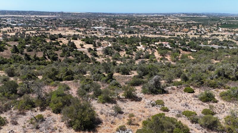2 bedroom8 320 m²  Land plot in Silves