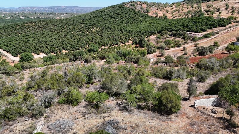 2 bedroom8 320 m²  Land plot in Silves