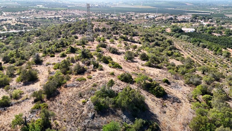 2 bedroom8 320 m²  Land plot in Silves