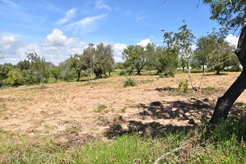 6 440 m²  Land plot in Albufeira