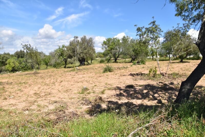 Lote de Terreno com 6 440 m²  em Albufeira