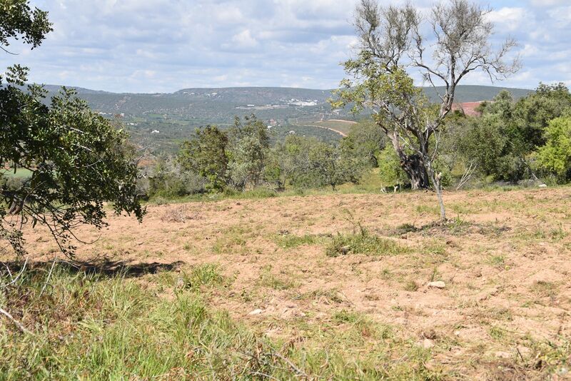 Lote de Terreno com 6 440 m²  em Albufeira