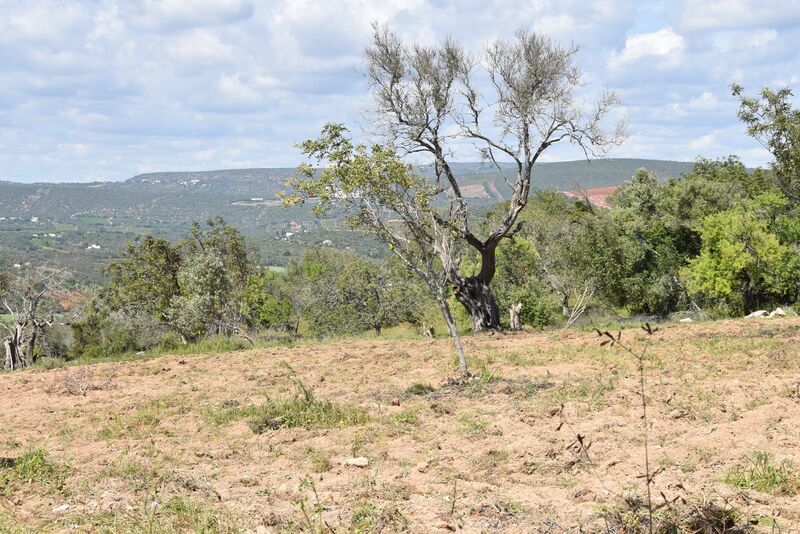 6 440 m²  Land plot in Albufeira