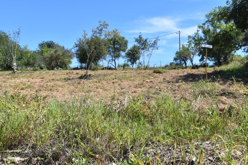 6 440 m²  Land plot in Albufeira