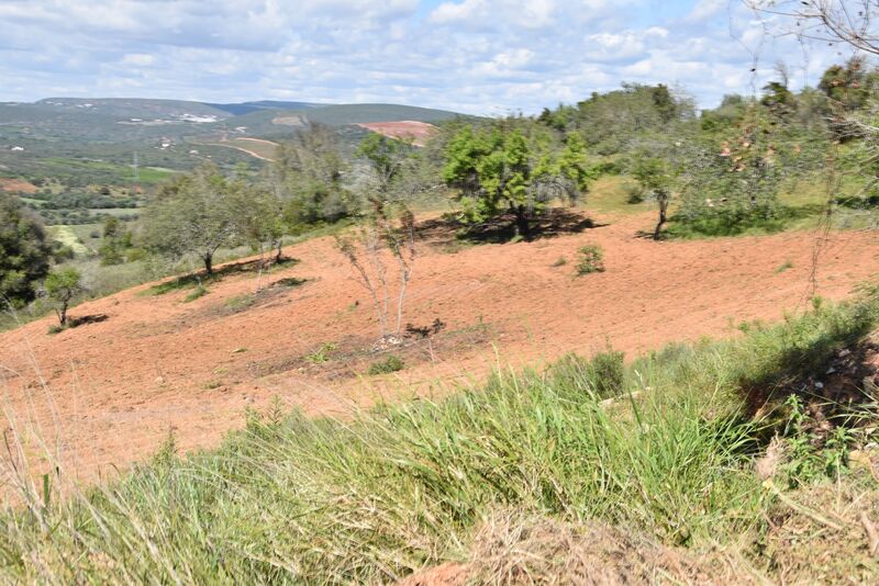 6 440 m²  Land plot in Albufeira