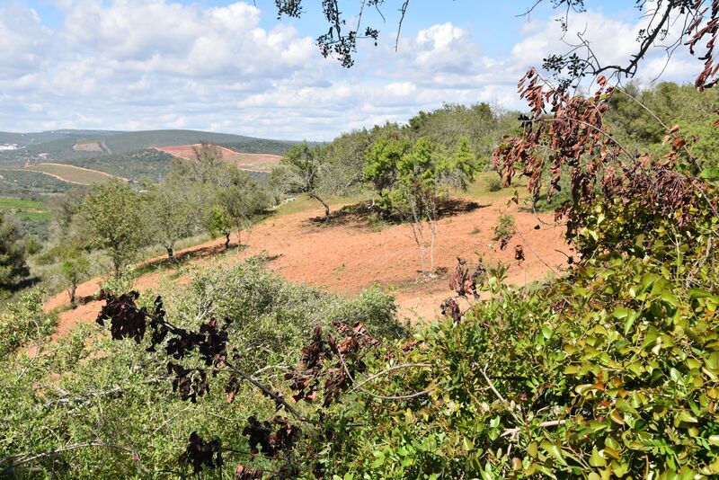 Lote de Terreno com 6 440 m²  em Albufeira