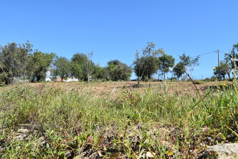 6 440 m²  Land plot in Albufeira