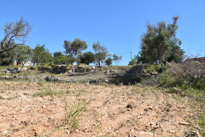 6 440 m²  Land plot in Albufeira