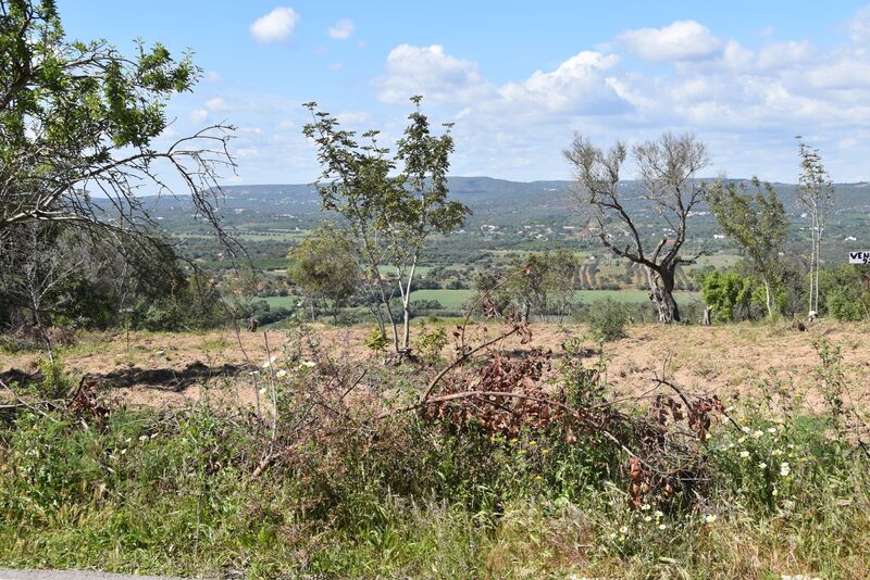 6 440 m²  Land plot in Albufeira