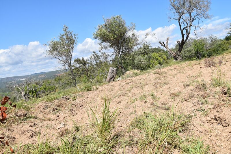 6 440 m²  Land plot in Albufeira