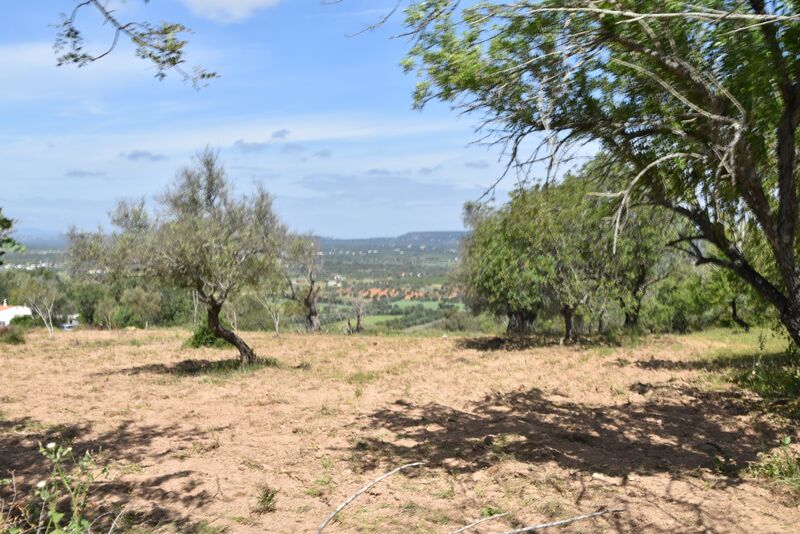 Lote de Terreno com 6 440 m²  em Albufeira