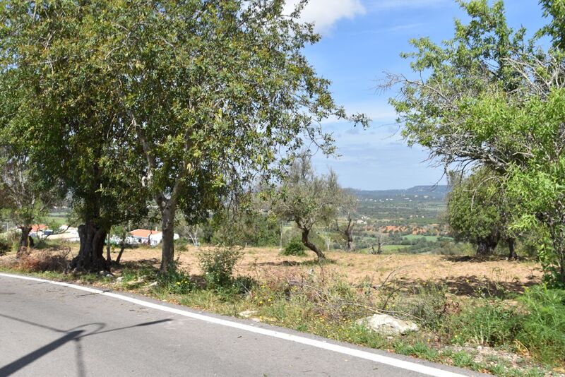 6 440 m²  Land plot in Albufeira