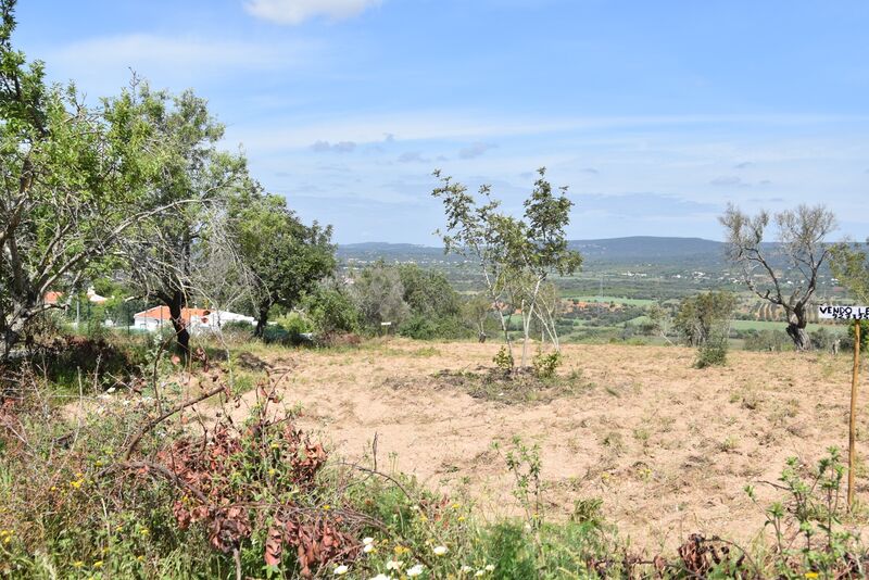 6 440 m²  Land plot in Albufeira