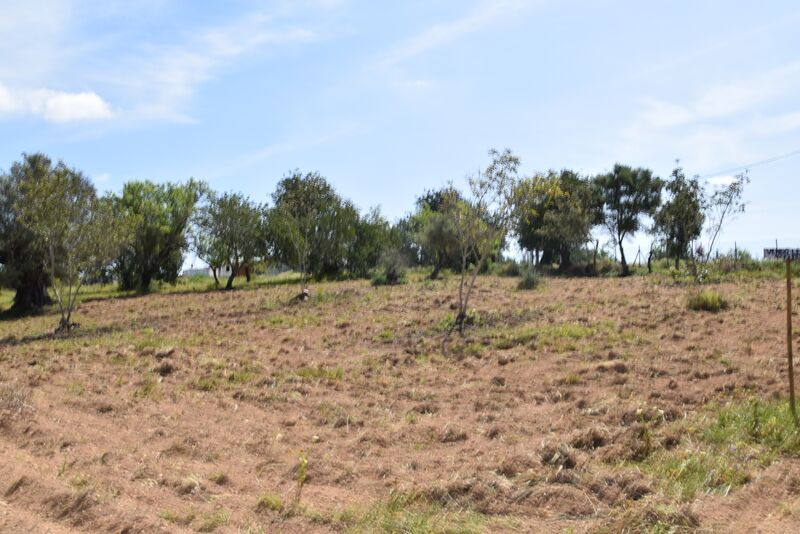 6 440 m²  Land plot in Albufeira