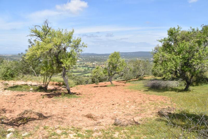 6 440 m²  Land plot in Albufeira