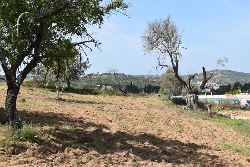 6 440 m²  Land plot in Albufeira