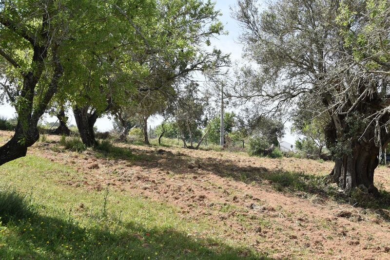 Lote de Terreno com 6 440 m²  em Albufeira