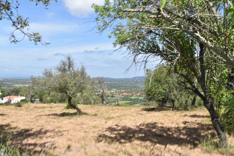 6 440 m²  Land plot in Albufeira