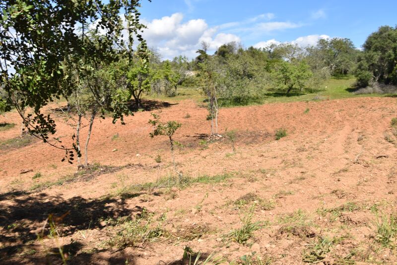 6 440 m²  Land plot in Albufeira