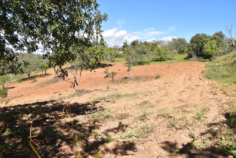 6 440 m²  Land plot in Albufeira