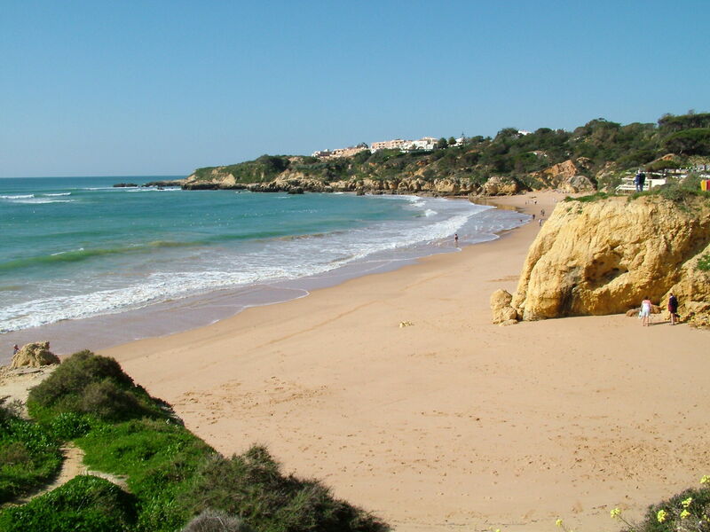 1 bedroom Apartment in Albufeira