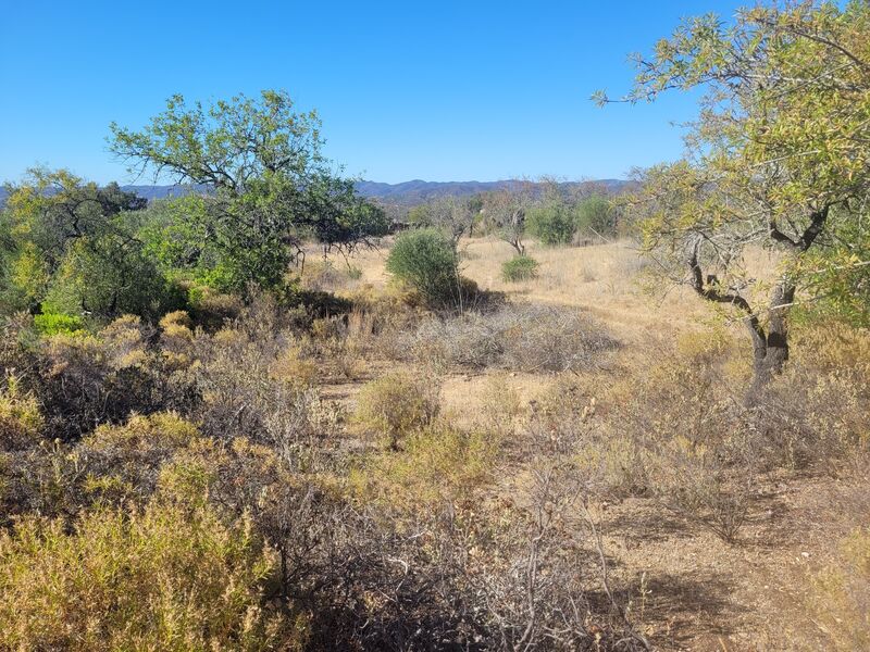 3 bedroom4 440 m²  Land plot in Silves