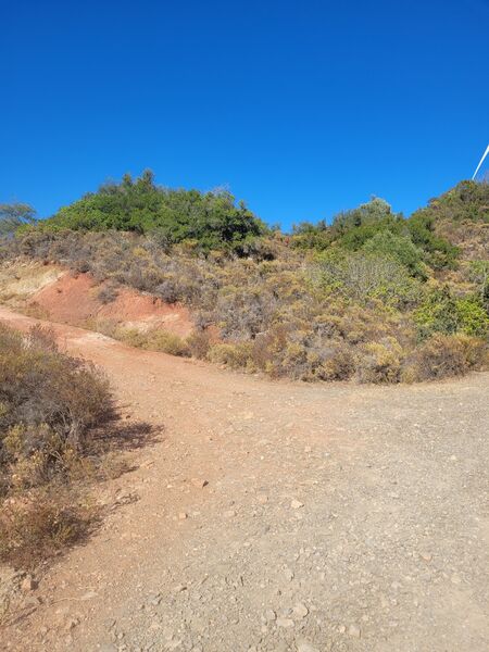 3 bedroom4 440 m²  Land plot in Silves