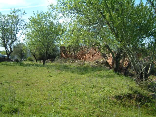 Ruine Isolated V3 Marreiros São Bartolomeu de Messines Silves