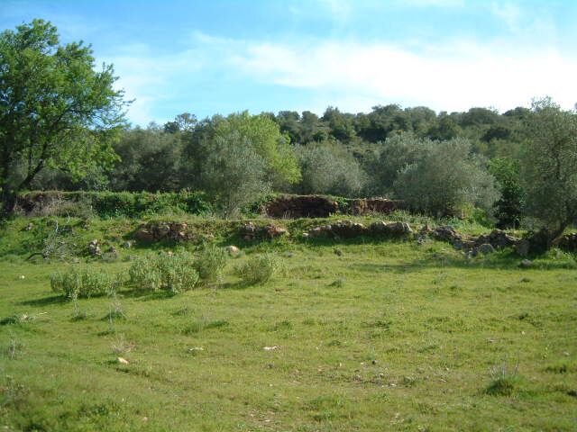3 bedroom4 440 m²  Land plot in Silves
