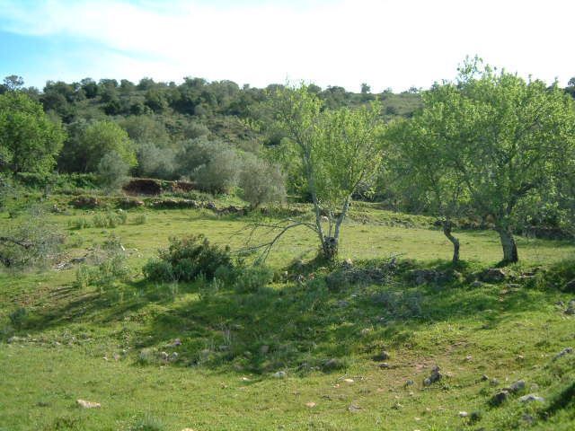 3 bedroom4 440 m²  Land plot in Silves