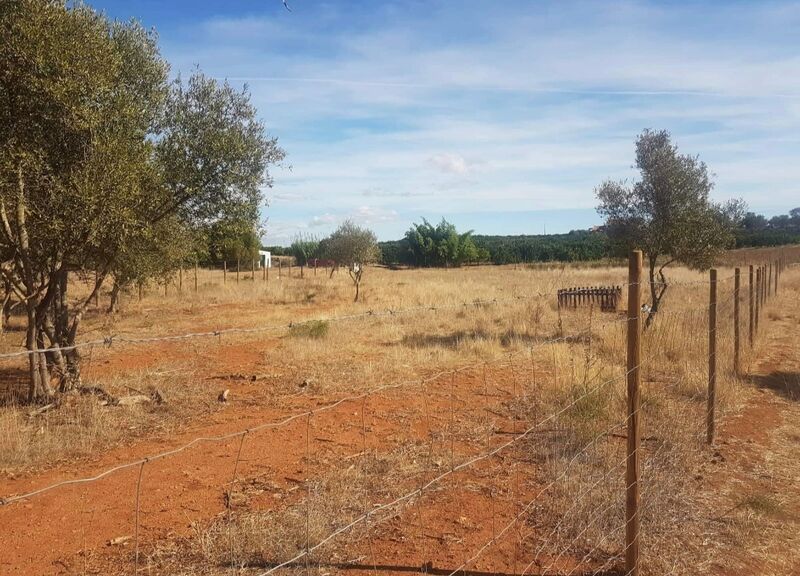 1 960 m²  Land plot in Silves