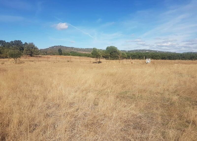 1 960 m²  Land plot in Silves