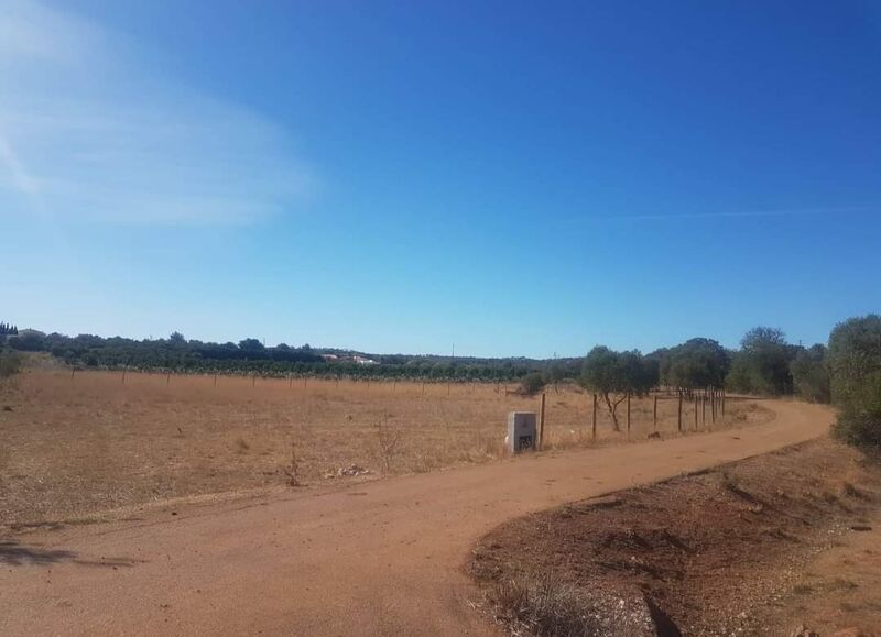 1 960 m²  Land plot in Silves