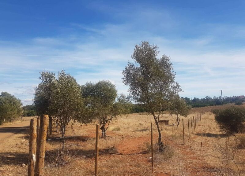 1 960 m²  Land plot in Silves