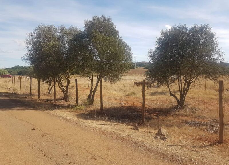 Terreno Rústico com 1960m2 Benaciate São Bartolomeu de Messines Silves - bom acesso, luz, água, oliveiras, poço