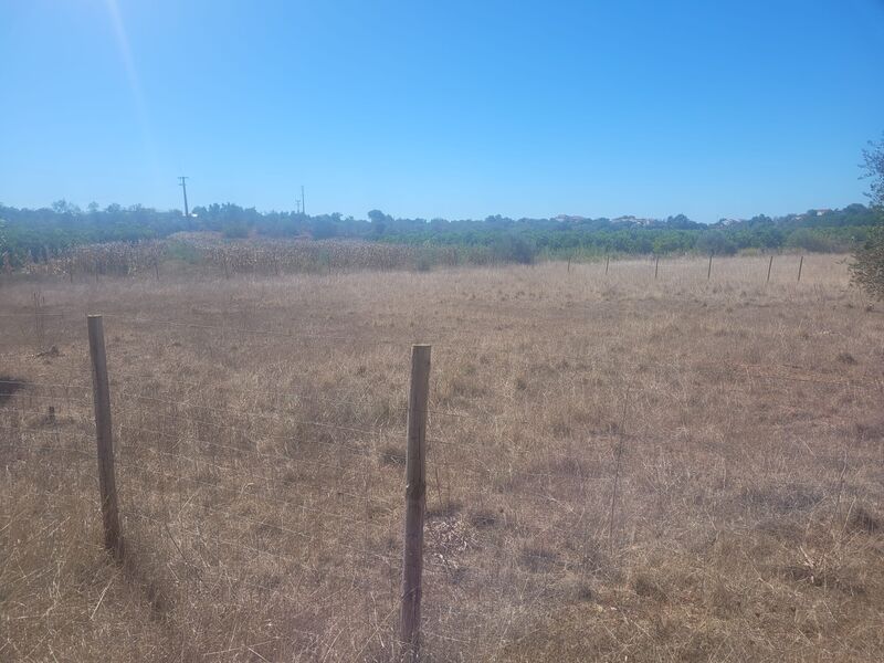 1 960 m²  Land plot in Silves