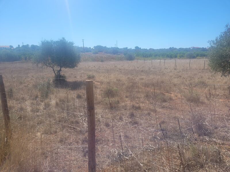 1 960 m²  Land plot in Silves