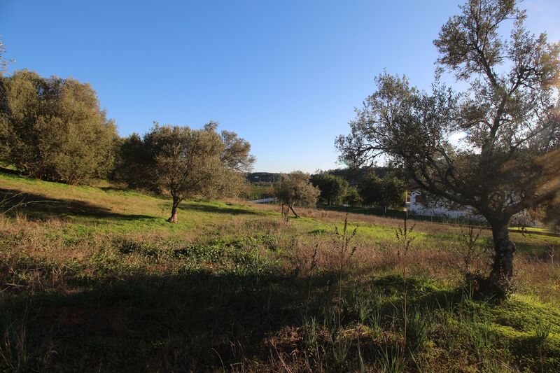 5 695 m²  Land plot in Silves