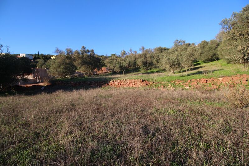 5 695 m²  Land plot in Silves