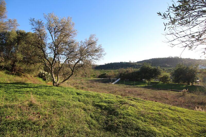 5 695 m²  Land plot in Silves