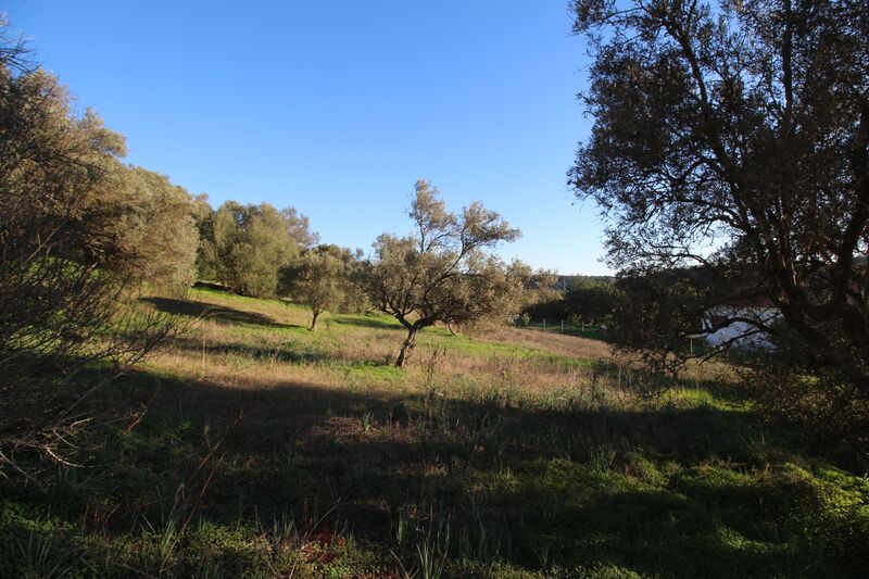 5 695 m²  Land plot in Silves