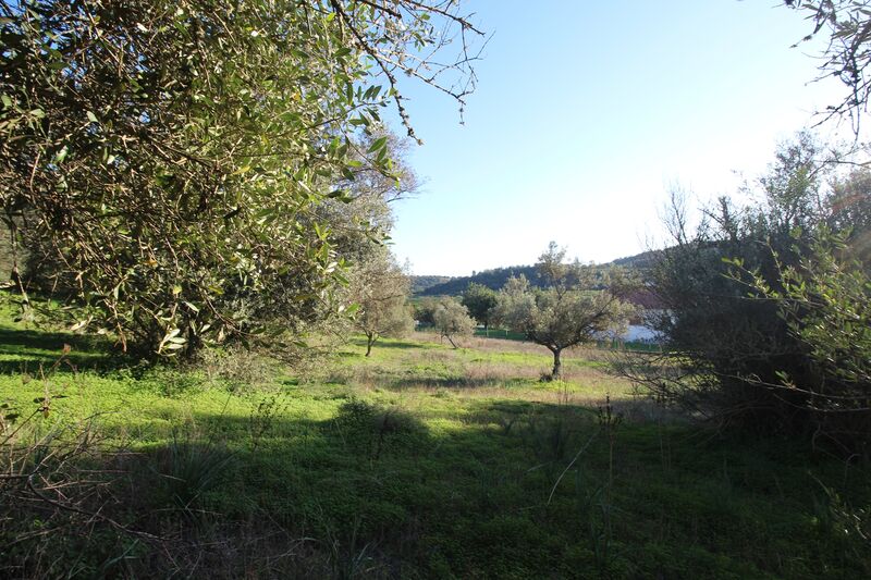 Terreno com 5 695 m² à venda em Silves, Algarve 