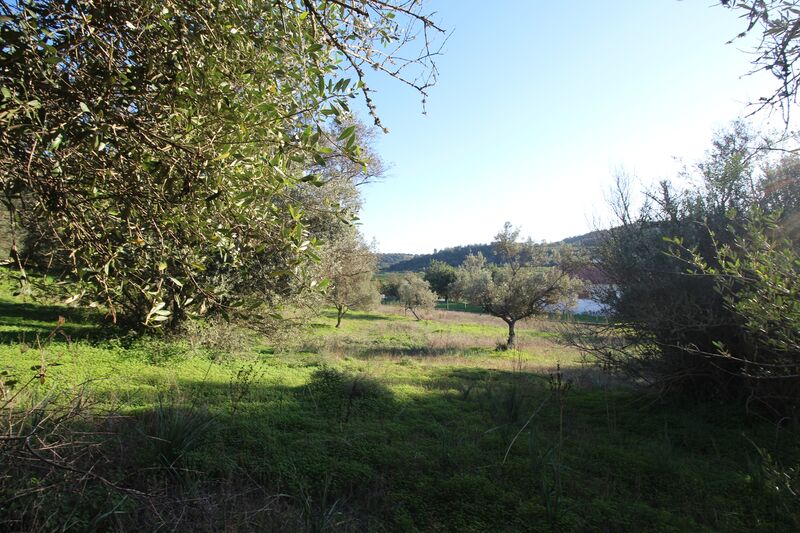 5 695 m²  Land plot in Silves