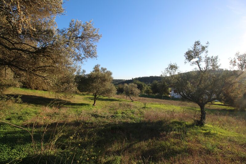 5 695 m²  Land plot in Silves